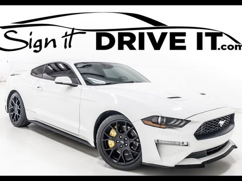 Used 2019 Ford Mustang Premium w/ Ecoboost Performance Package RWD image 1