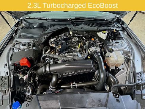 Certified 2024 Ford Mustang Premium RWD image 25