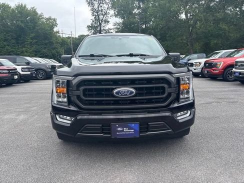 Used 2021 Ford F150 XLT w/ Equipment Group 302A High RWD image 3
