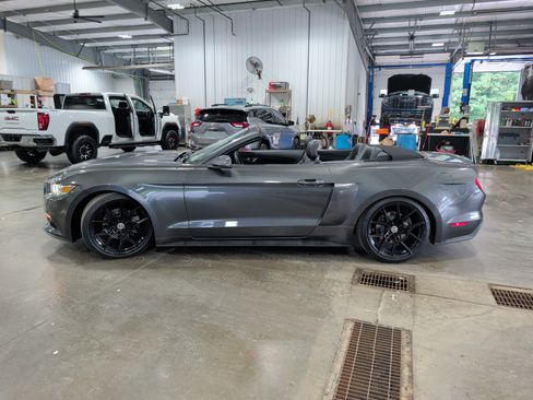 Used 2015 Ford Mustang Premium RWD image 5