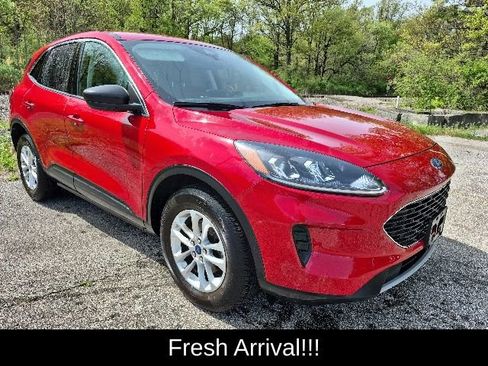 Used 2022 Ford Escape SE w/ Convenience Package AWD/4WD image 5