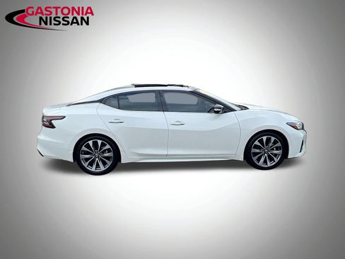 Used 2019 Nissan Maxima Platinum w/ Illumination Package image 10