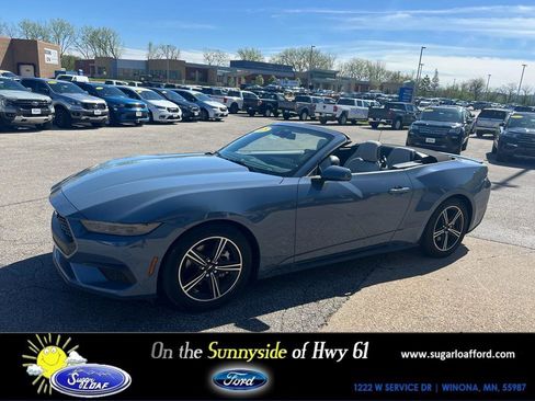 Used 2025 Ford Mustang Premium RWD image 1