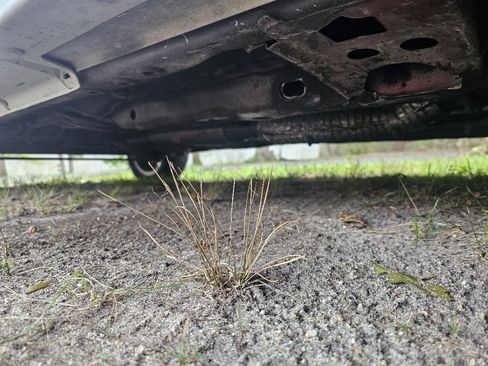 Used 1986 Dodge Charger Shelby image 13