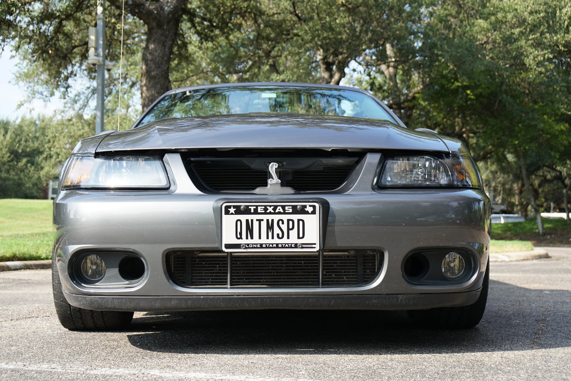Used 2003 Ford Mustang Cobra RWD image 12