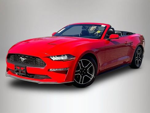 Used 2020 Ford Mustang Premium image 4
