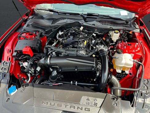 Used 2026 Ford Mustang Coupe w/ Mustang Nite Pony Package RWD image 14