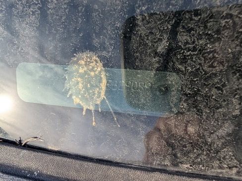 Used 2010 Ford F150 XLT image 21