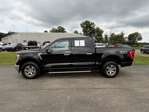 Used 2023 Ford F150 XLT w/ Equipment Group 302A High AWD/4WD image 11