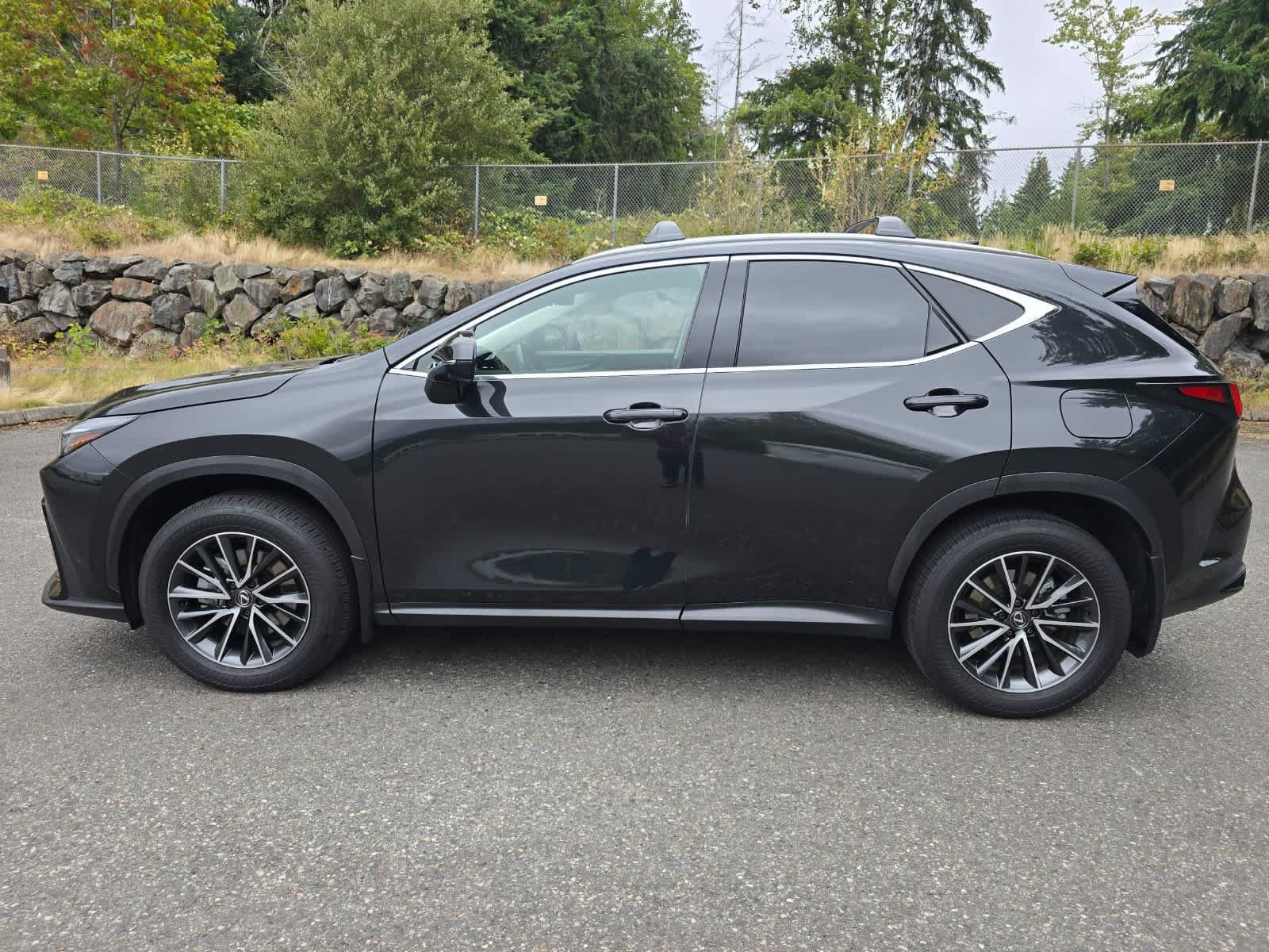 Used 2024 Lexus NX 350h AWD w/ Vision Package image 3
