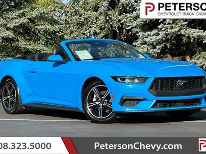 Used 2024 Ford Mustang Premium
