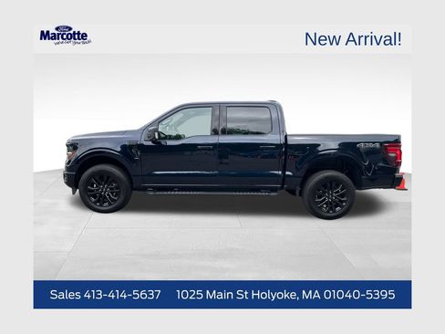Used 2025 Ford F150 XLT w/ Equipment Group 303A High AWD/4WD image 1