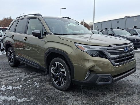 Certified 2025 Subaru Forester Limited image 3