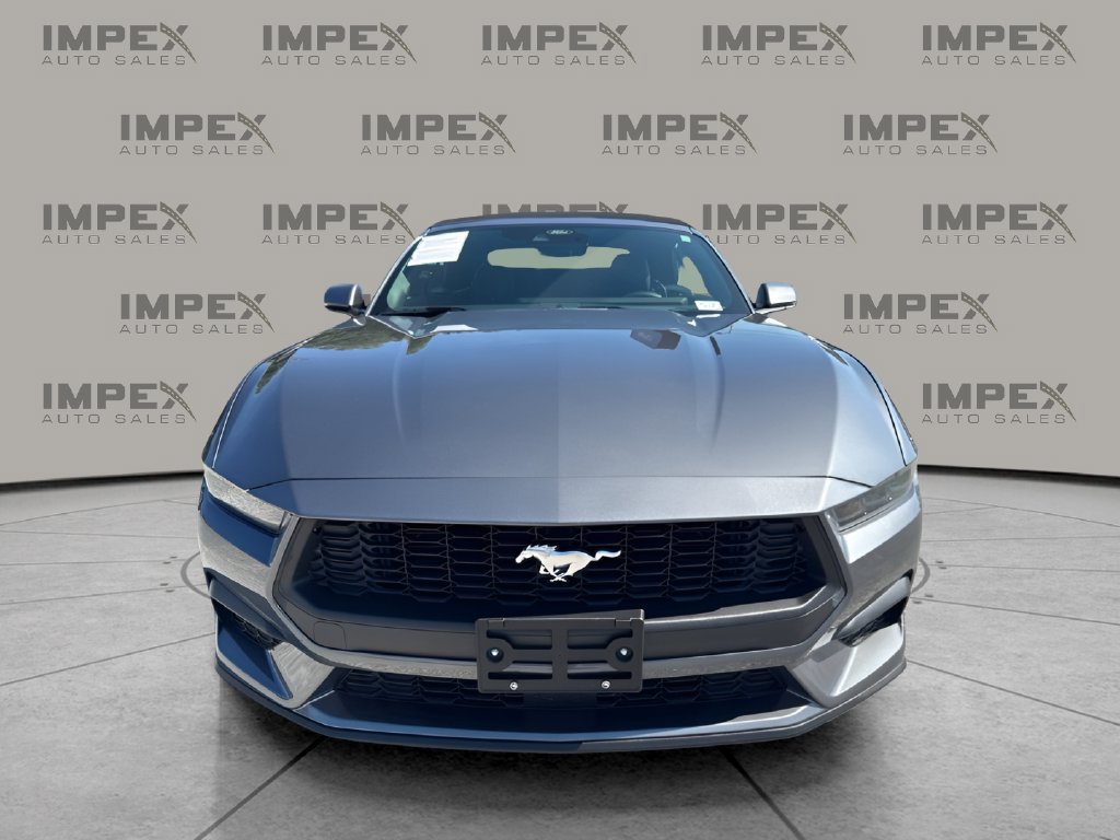 Used 2026 Ford Mustang Premium RWD image 8