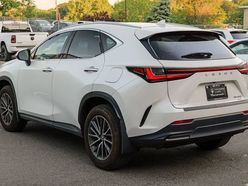 Used 2024 Lexus NX 350 AWD w/ Cold Area Package image 5