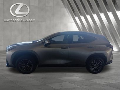 Used 2024 Lexus NX 350h AWD w/ Vision Package