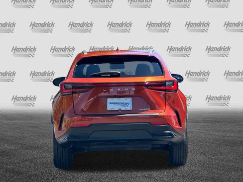 Certified 2024 Lexus NX 250 FWD image 6