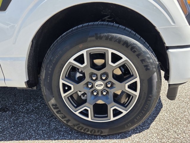 Certified 2024 Ford F150 STX RWD image 12