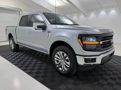 Used 2025 Ford F150 XLT w/ Equipment Group 302A MID