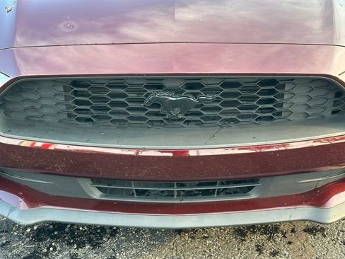 Used 2018 Ford Mustang Coupe w/ Black Accent Pkg RWD image 8