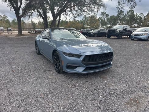 Used 2025 Ford Mustang EcoBoost w/ Mustang Nite Pony Package image 8