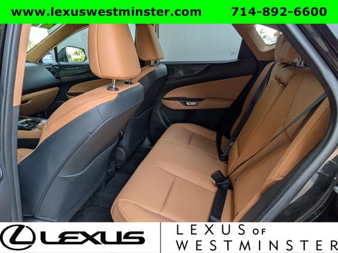 Certified 2025 Lexus NX 350h AWD w/ Cold Area Package image 14