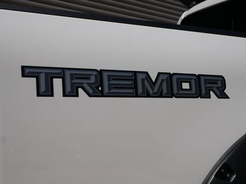 Used 2024 Ford F250 Lariat w/ Lariat Ultimate Package AWD/4WD image 10