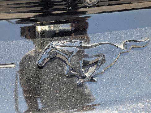 Used 2021 Ford Mustang Coupe w/ Equipment Group 101A RWD image 13