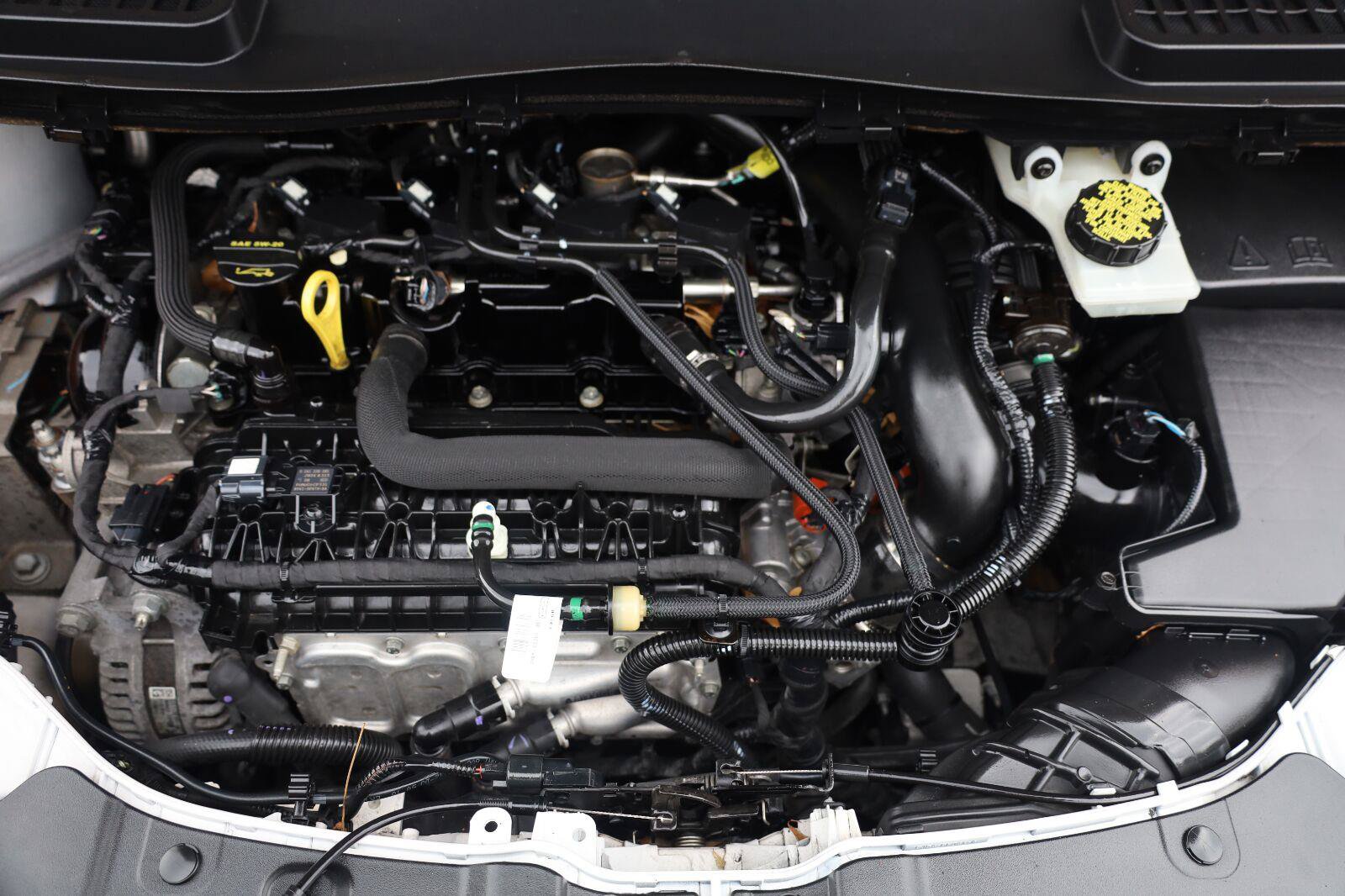 Used 2019 Ford Escape SEL FWD image 14