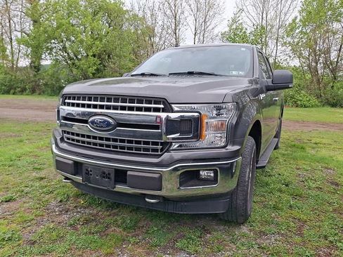 Used 2019 Ford F150 XLT w/ Equipment Group 302A Luxury AWD/4WD image 2