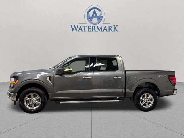 Used 2025 Ford F150 XLT w/ Equipment Group 301A Standard AWD/4WD image 2