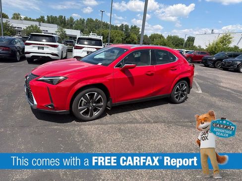 Used 2025 Lexus UX 300h AWD w/ Cold Area Package image 2
