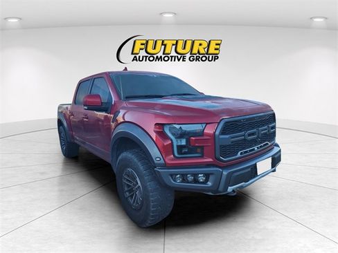 Used 2019 Ford F150 Raptor w/ Equipment Group 802A Luxury image 1