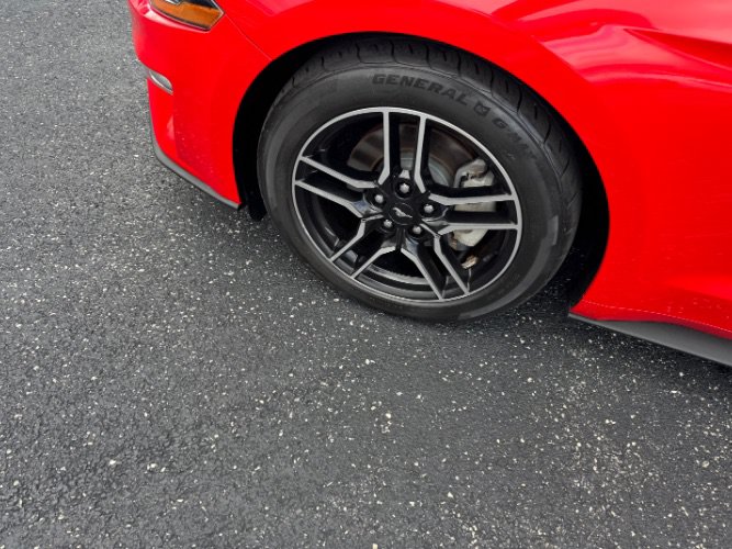 Used 2018 Ford Mustang Premium w/ Equipment Group 201A RWD image 11