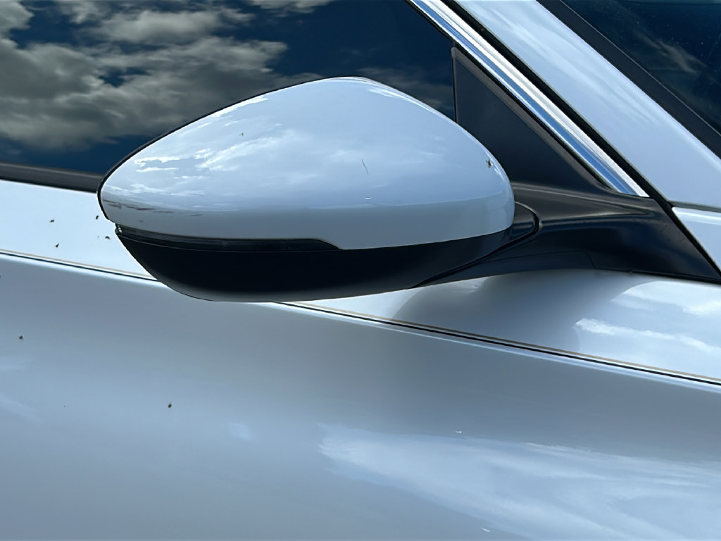 Used 2022 Honda Accord EX-L image 11