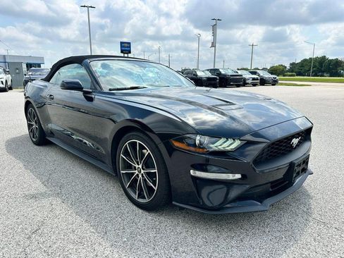 Used 2019 Ford Mustang Premium w/ Equipment Group 201A RWD image 7