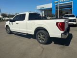 Used 2022 Ford F150 XLT w/ Equipment Group 302A High image 5