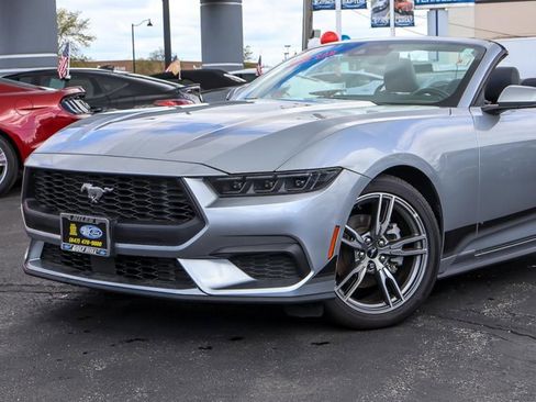Certified 2025 Ford Mustang Premium w/ Wheel & Stripe Package RWD image 3