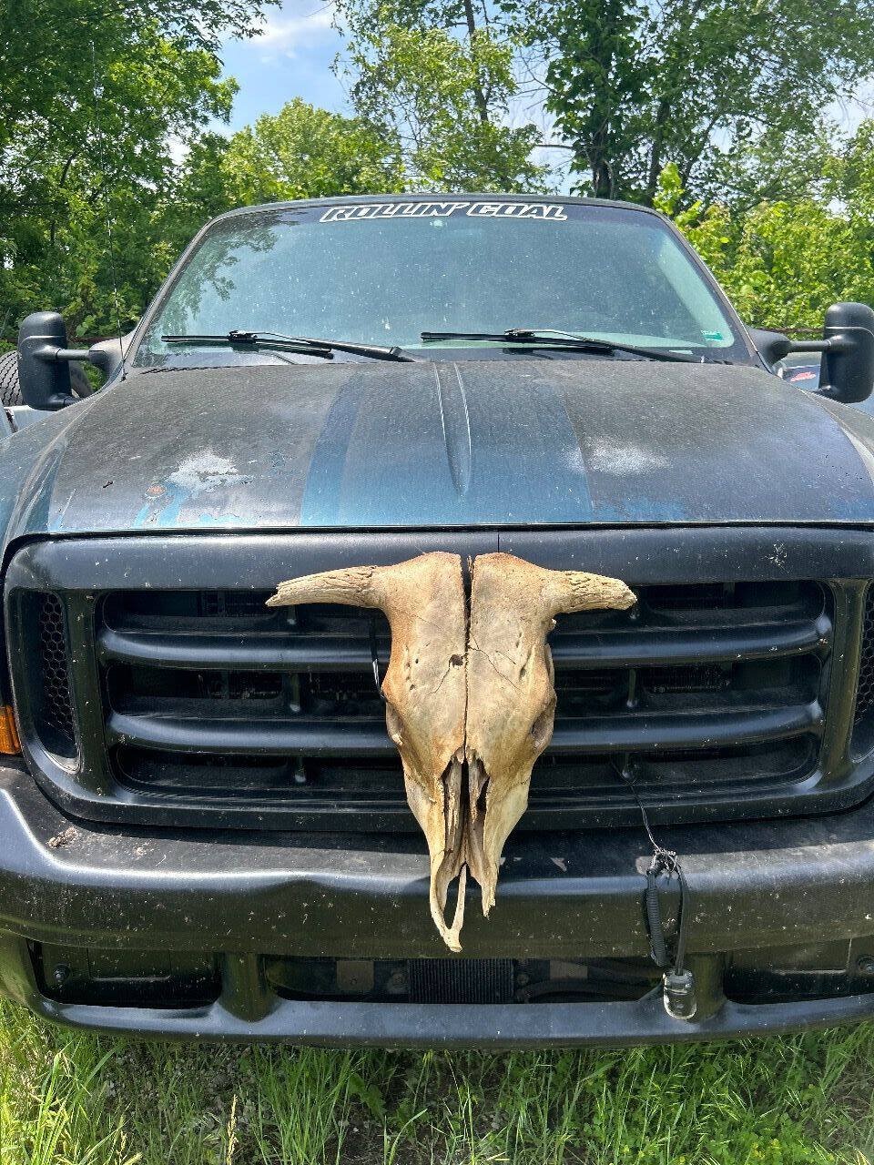 Used 1999 Ford F250 XLT RWD image 11