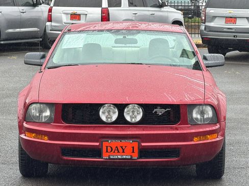 Used 2005 Ford Mustang Premium RWD image 11