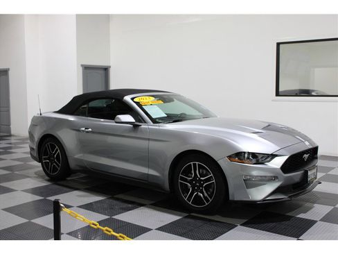 Used 2023 Ford Mustang Premium image 1
