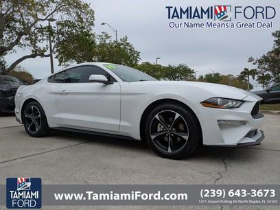 Certified 2019 Ford Mustang EcoBoost w/ Ford Safe & Smart Package