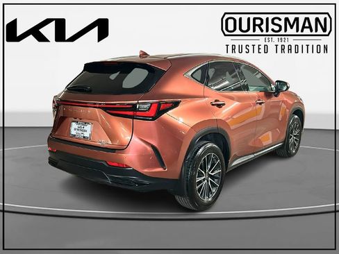 Used 2025 Lexus NX 350 350 Premium w/ Accessory Package (2T) image 4