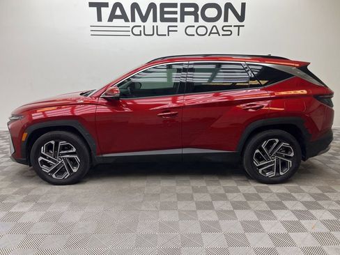 Used 2025 Hyundai Tucson Limited AWD/4WD image 6
