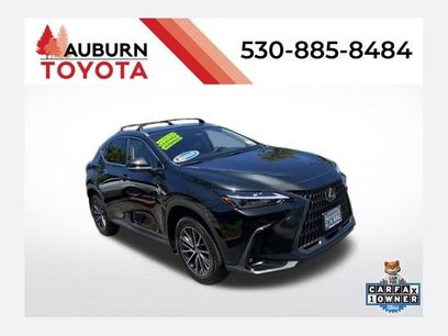 Used 2025 Lexus NX 350h AWD w/ Cold Area Package