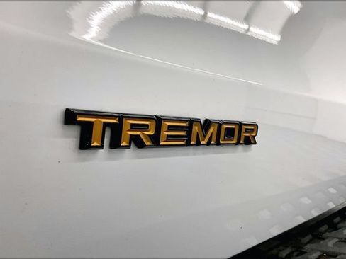 Used 2025 Ford Expedition Tremor AWD/4WD image 37
