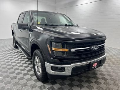 Used 2025 Ford F150 XLT w/ Equipment Group 301A Standard