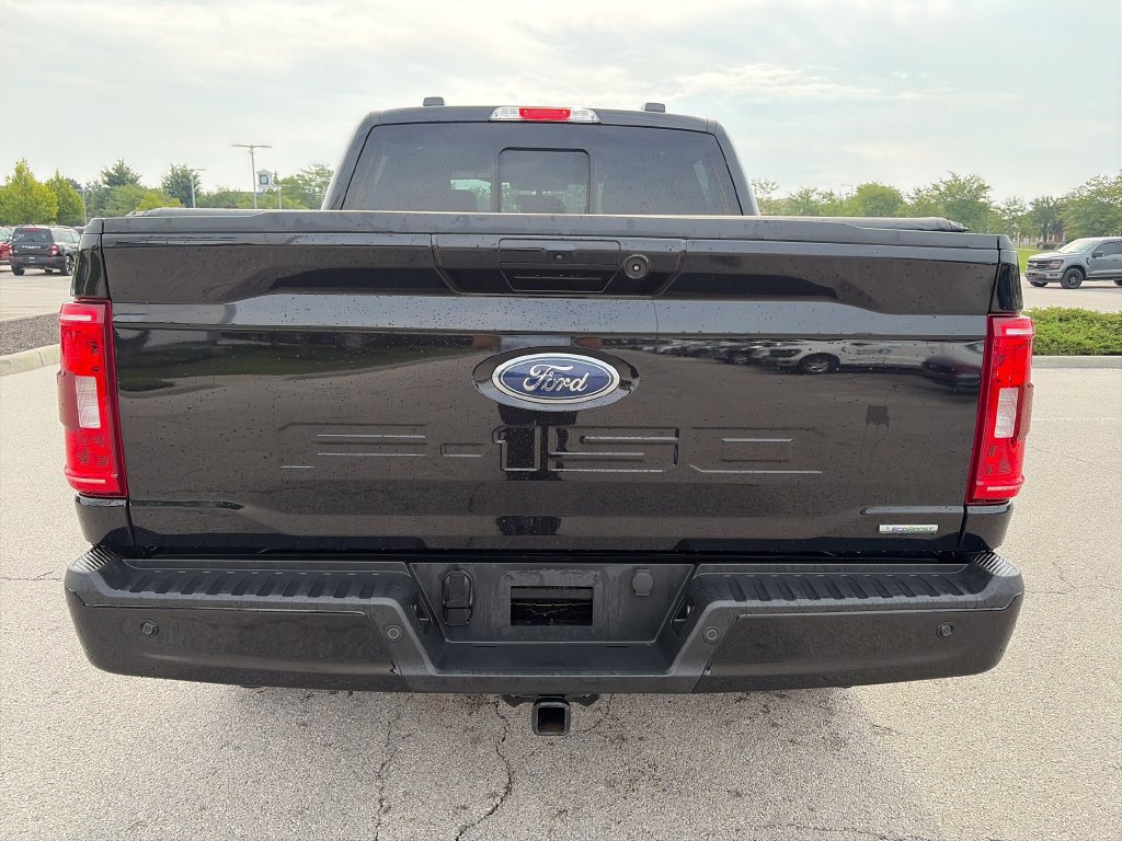 Used 2023 Ford F150 XLT w/ Equipment Group 302A High AWD/4WD image 6