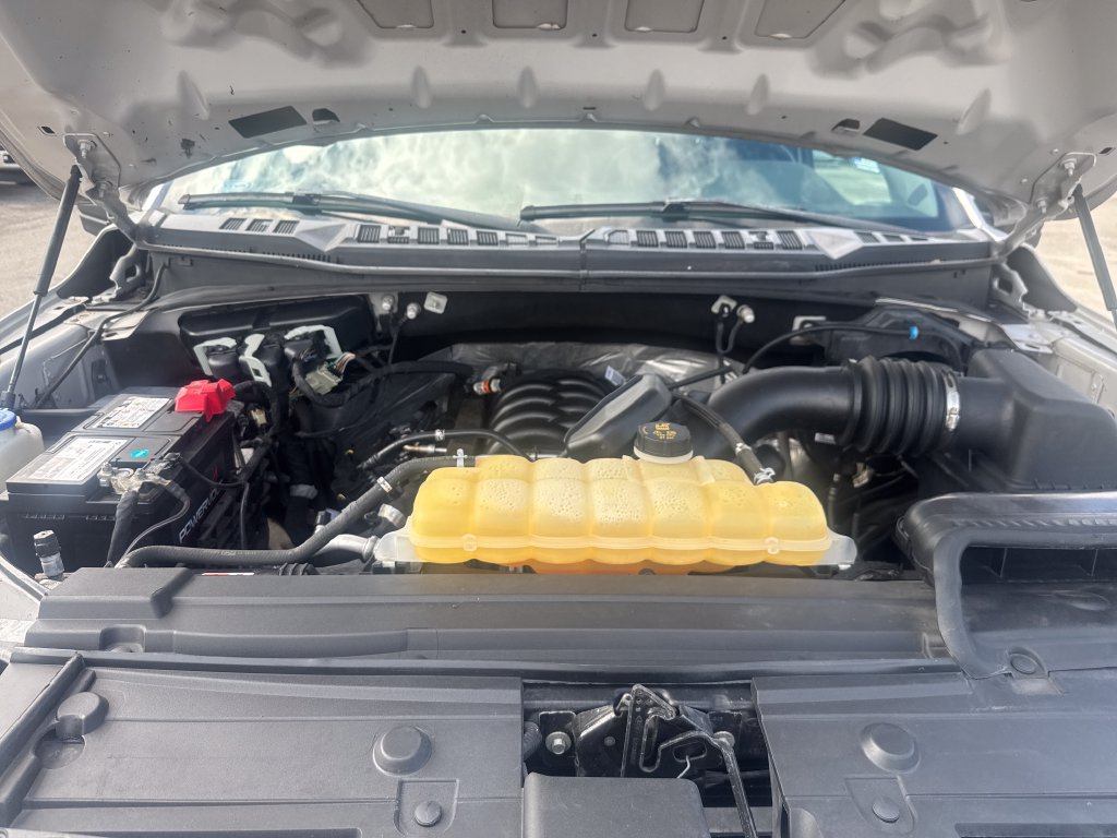 Used 2019 Ford F150 XL w/ Equipment Group 101A Mid AWD/4WD image 28