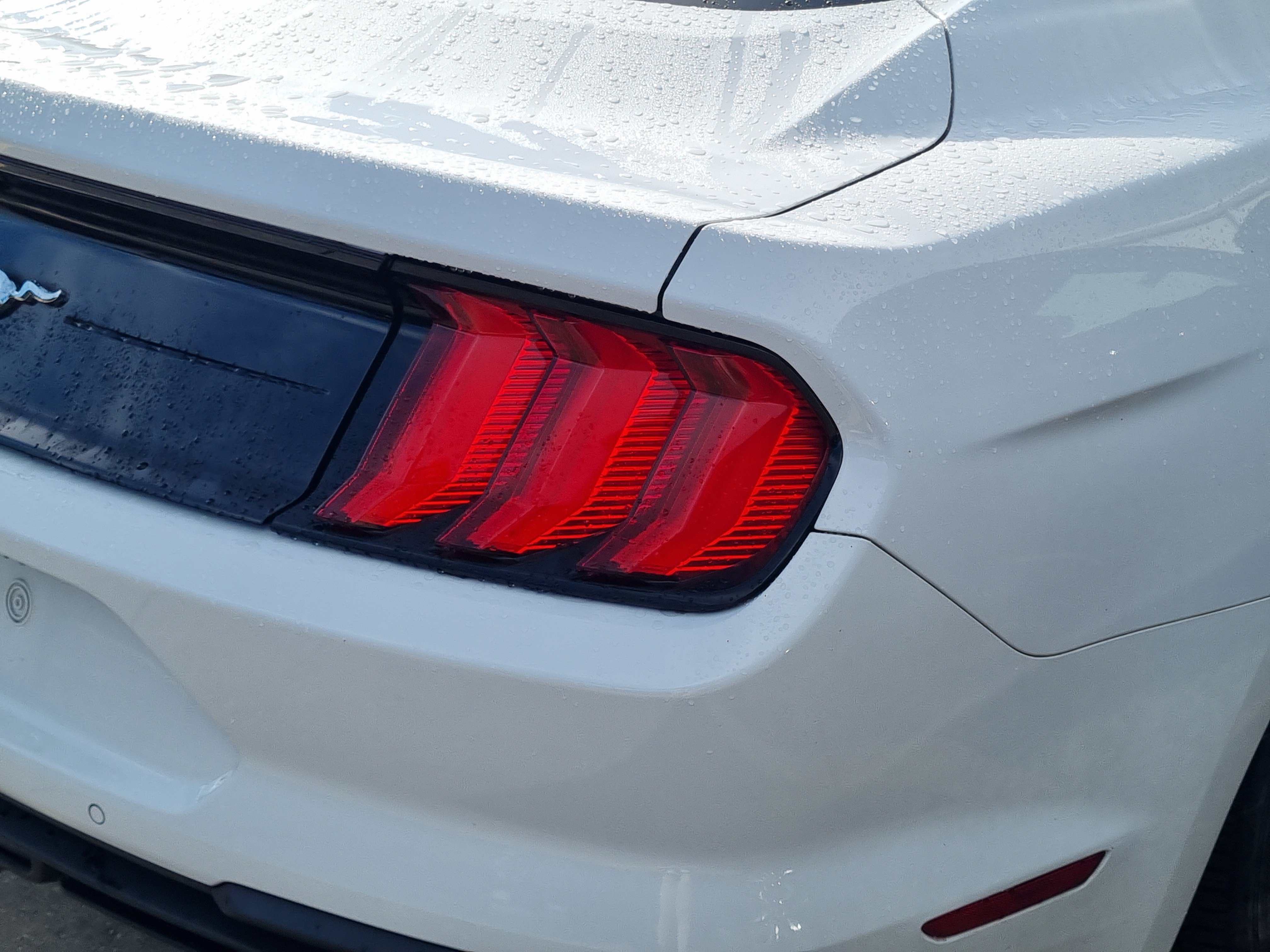 Used 2022 Ford Mustang Coupe w/ Equipment Group 101A RWD image 10
